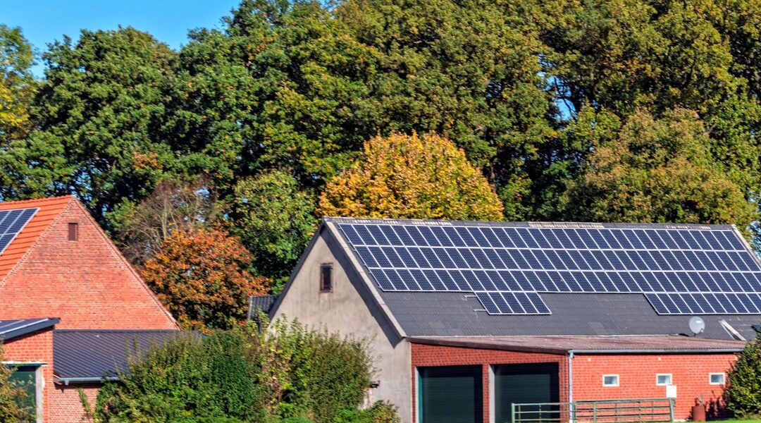 Barns with solar panels in a grassy field.